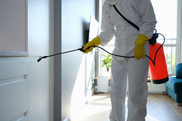 Best Emergency Mold Removal  in Dublin, PA