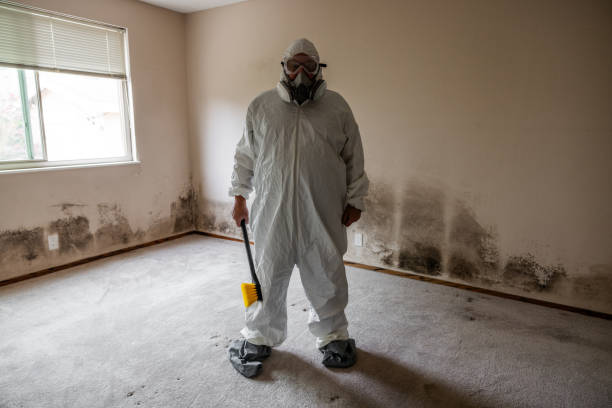 Mold Removal Process in Dublin, PA